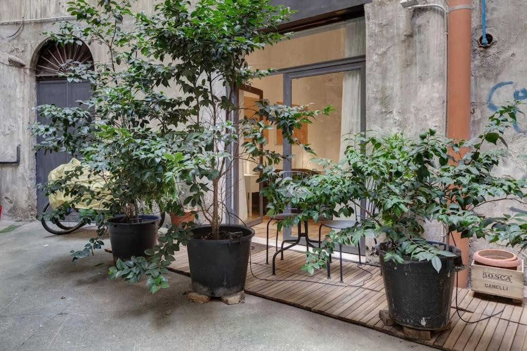 Appartement L'atelier *